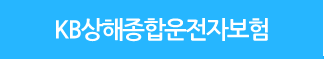 KB국민 운전자보험