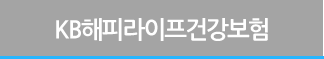 KB 해피라이프 건강보험